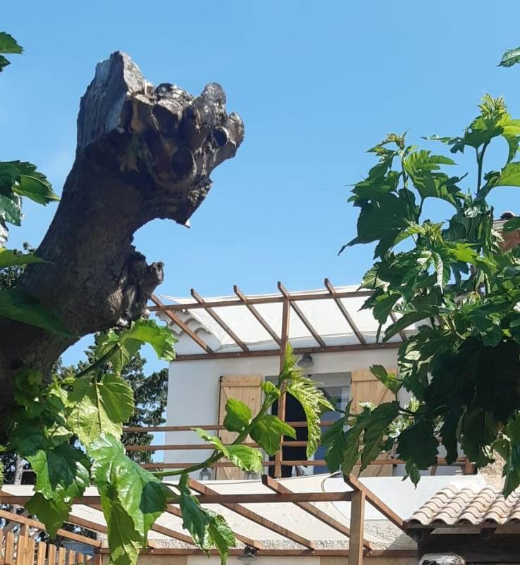 L'En Haut Aramon Kültér fotó